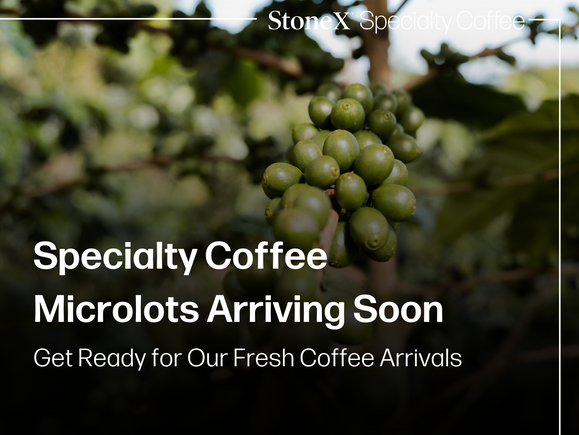 Specialty Coffee Microlots Arriving Soon: Get Ready for Our Fresh Coffee Arrivals