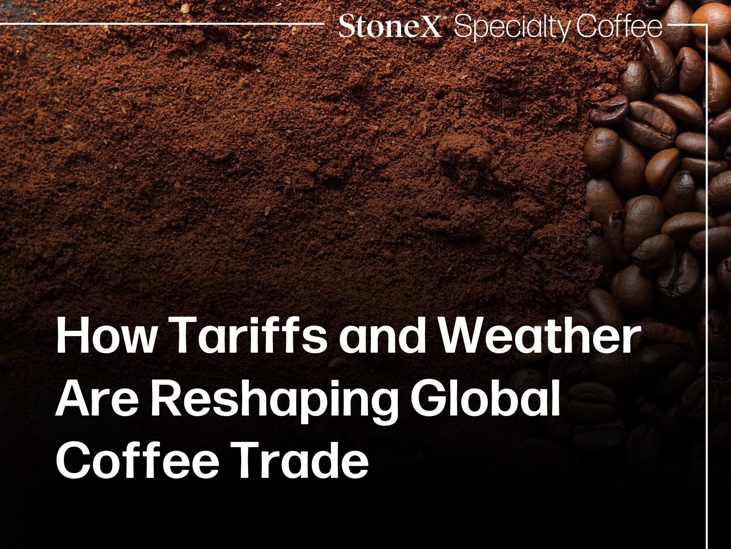 Coffee beans and ground coffee with StoneX Specialty Coffee branding on a dark background.