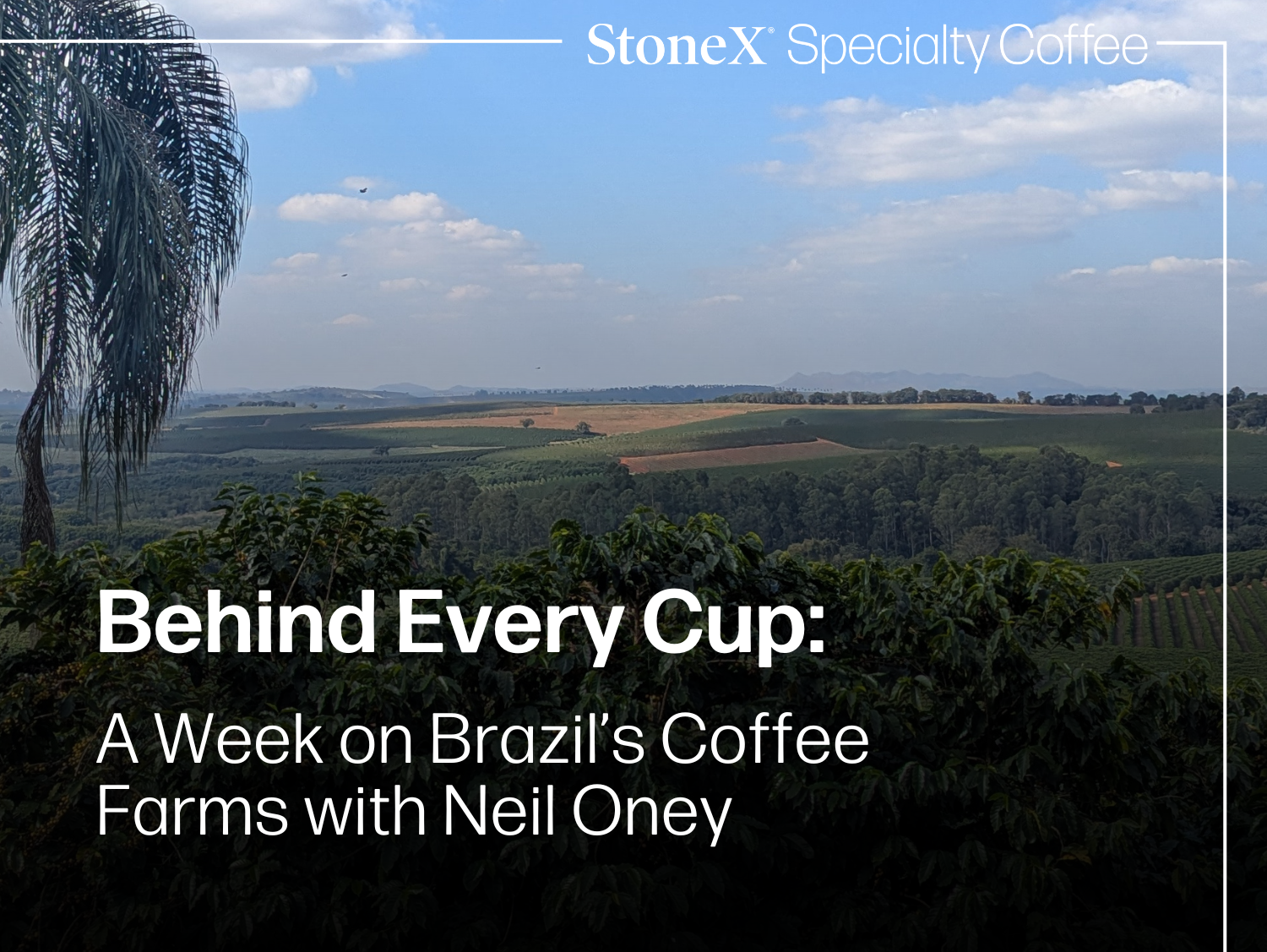 Scenic view of a coffee farm with text overlay about StoneX Specialty Coffee and Neil Oney.
