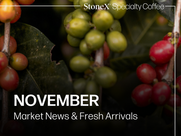 November Market News & Arrivals