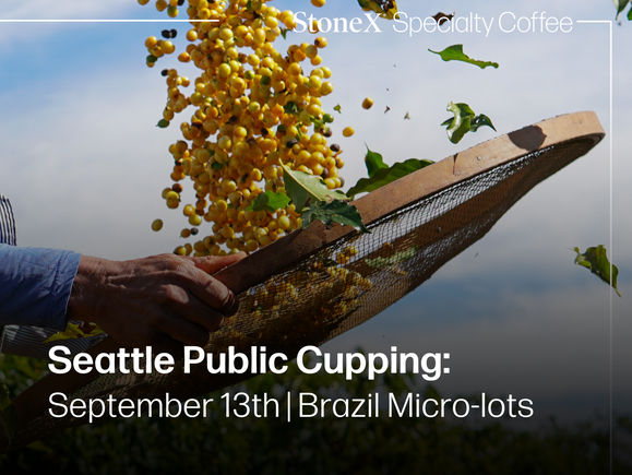 Seattle Public Cupping: Brazil Micro-lots