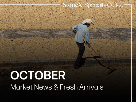 October: Market News & Fresh Arrivals