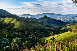 Papua New Guinea