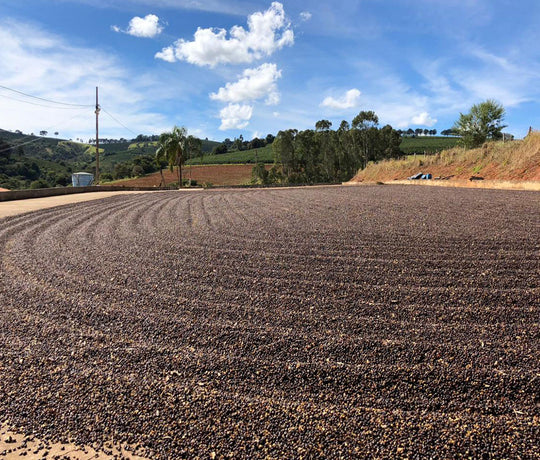 Minasul Women Produced - Naiara Kasmin De Oliveira - 3rd Place