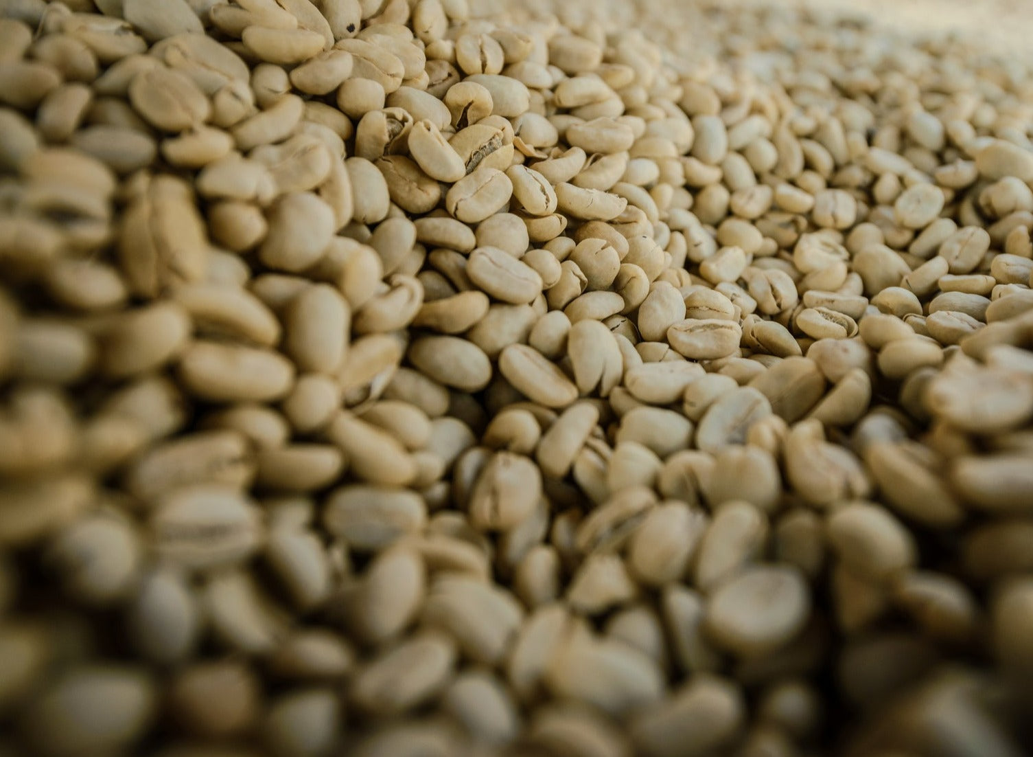 Colombian Decaf Excelso EA Process Green Coffee Beans from Mercon Specialty