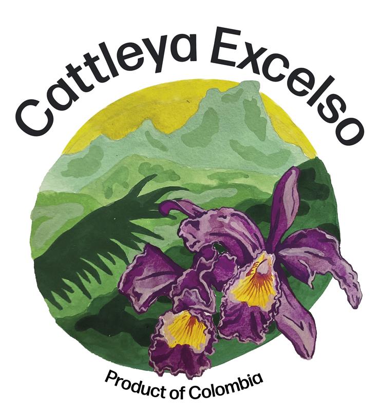 Cattleya Excelso EP