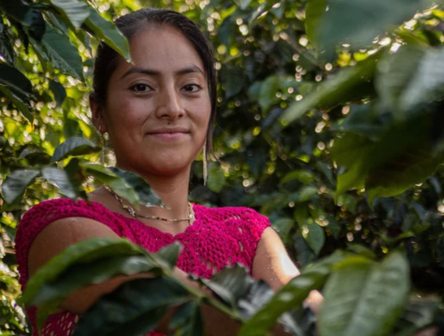 Guatemala Huehuetenango Aldea Q’om Women’s Group Green Coffee Beans