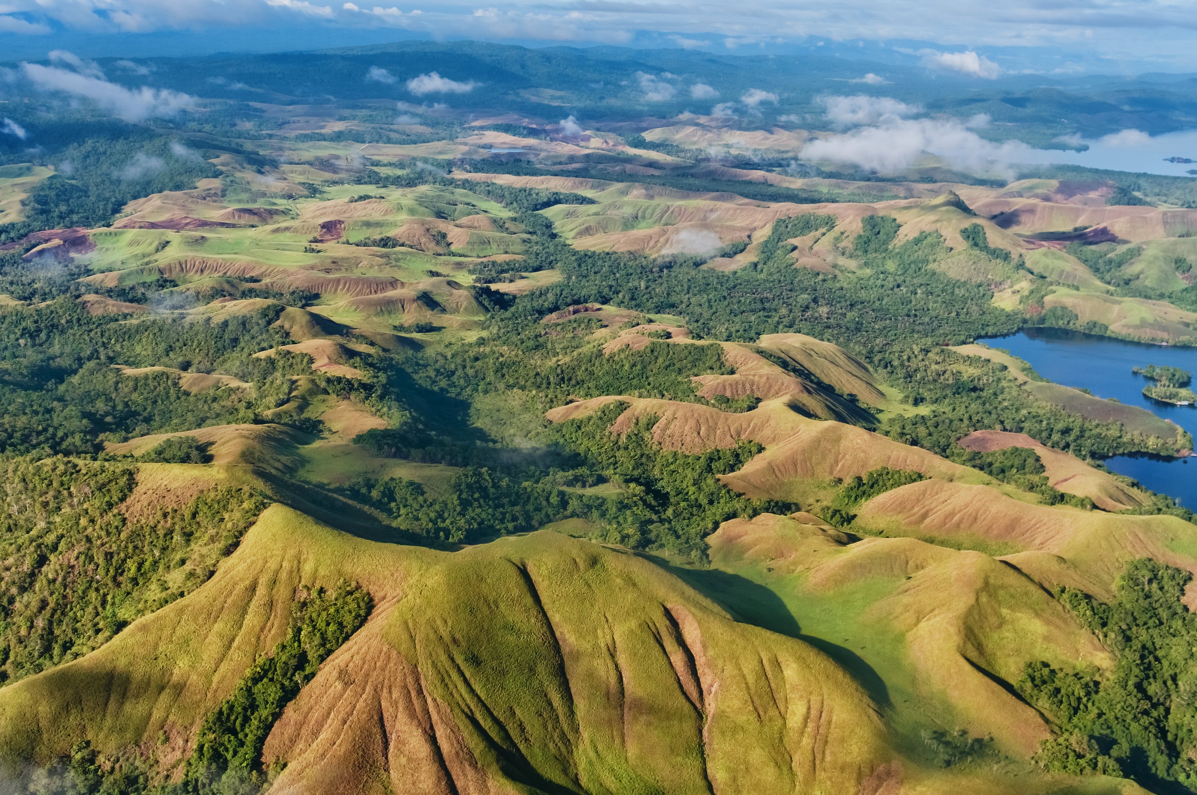 Papua New Guinean Eastern Highlands Gr B-15 Green Coffee Beans from Mercon Specialty