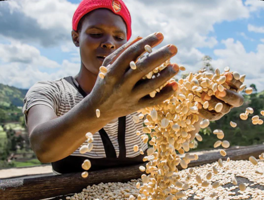 Abakundakawa Ishema Next Generation