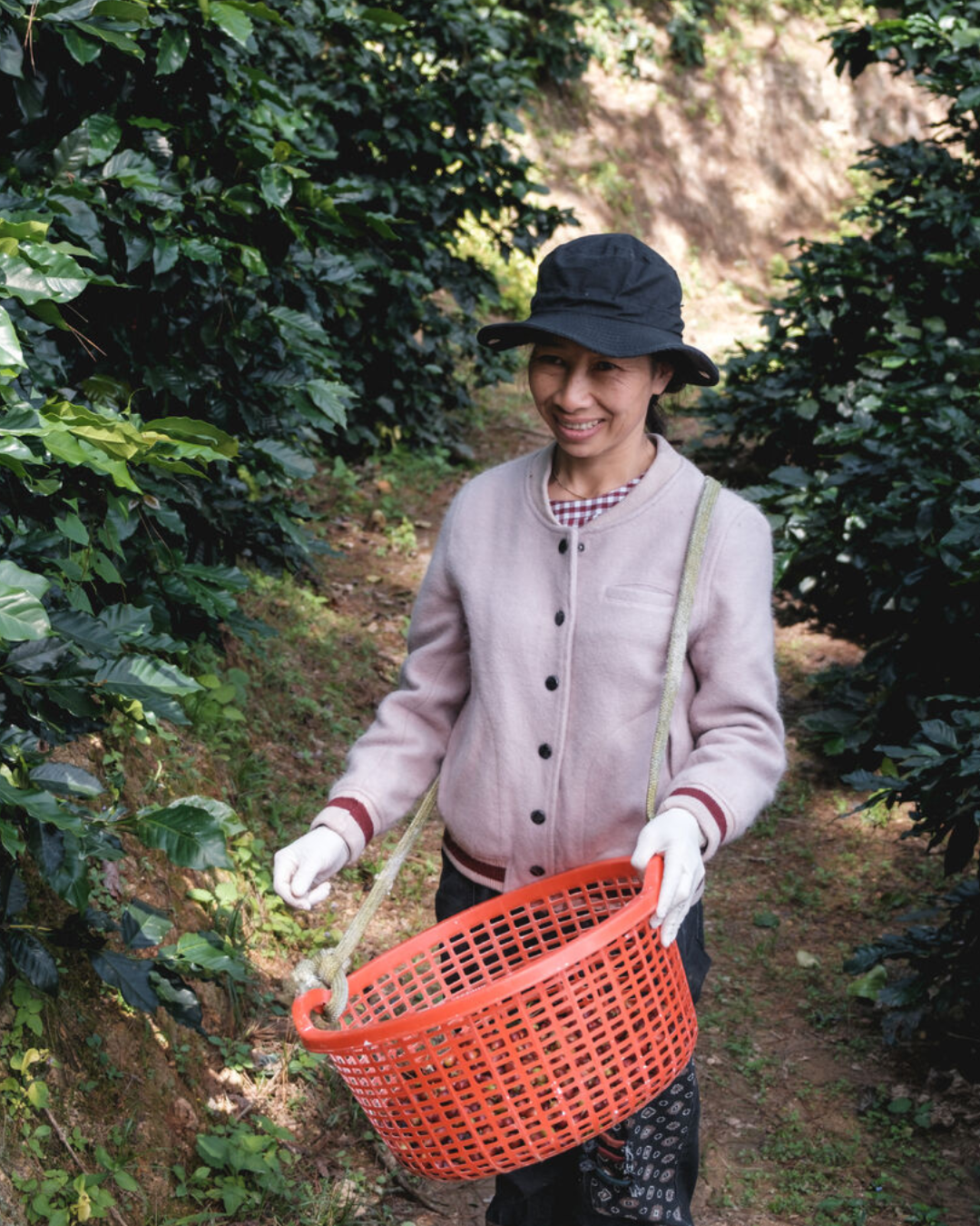 Da Lat Women Producers